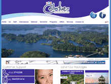 Tablet Screenshot of colvitur.com